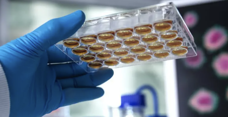 Discovery of new class of antibiotics