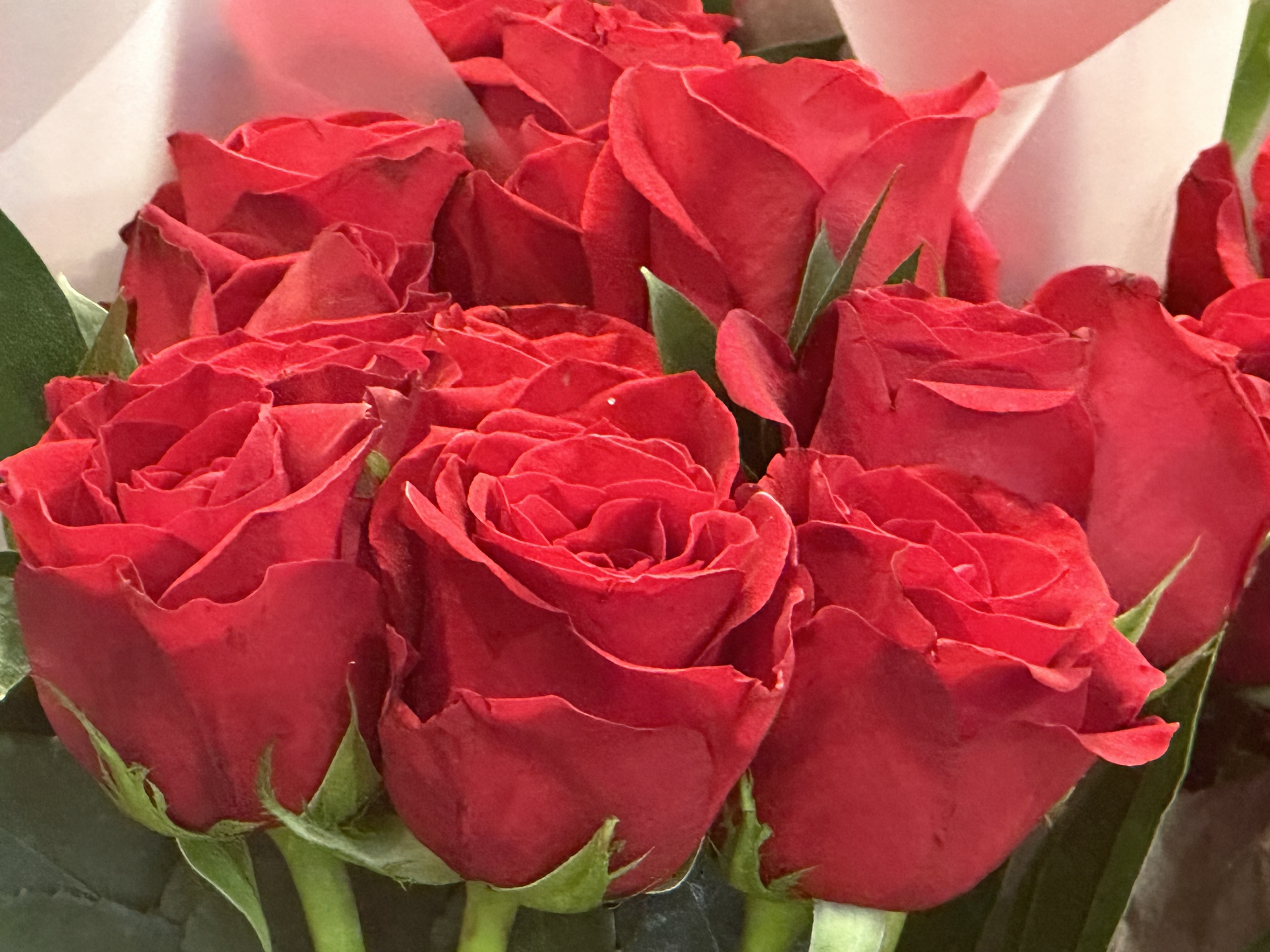 Happy Valentine’s Day