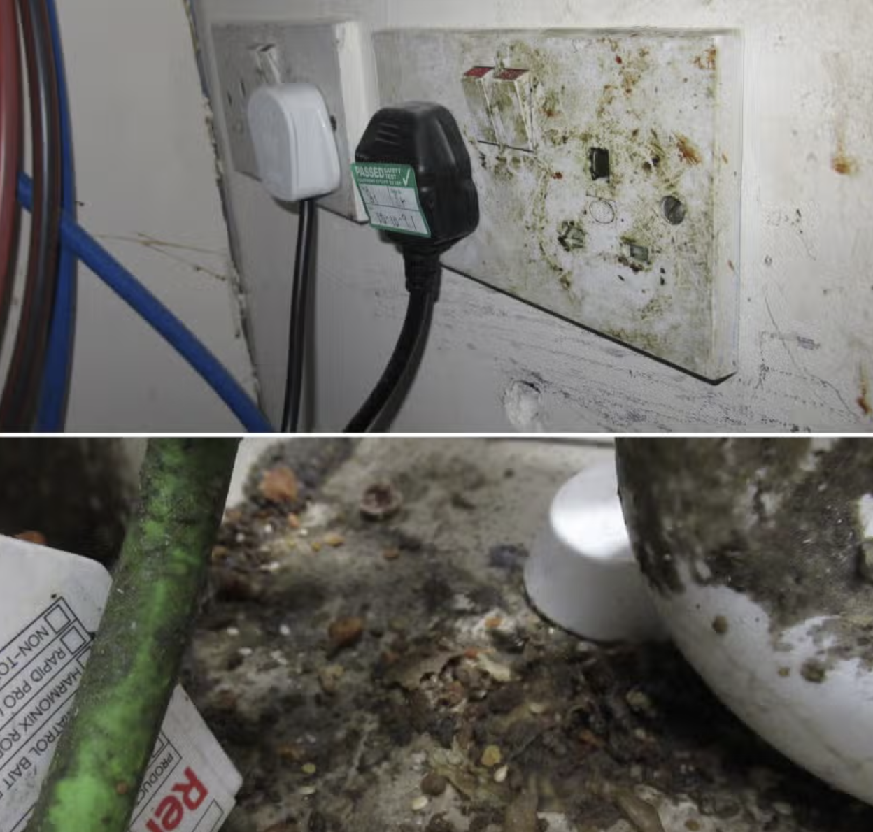 KFC, Leytonstone, Immense risk to public health