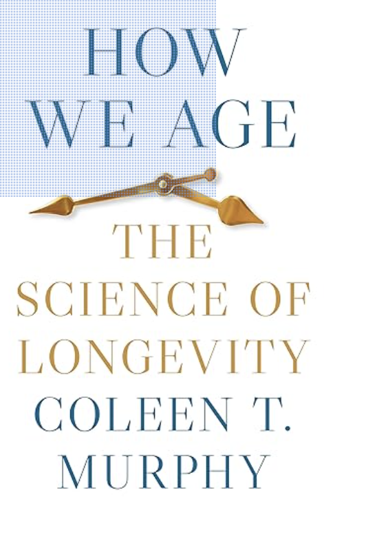 The Secret of aging