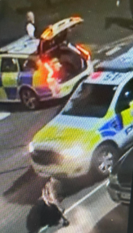 Police car filmed hitting a cow twice