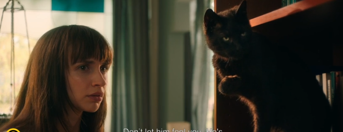 Raindance Festival 2024: “CICAVERZUM” OR “CAT CALL”
