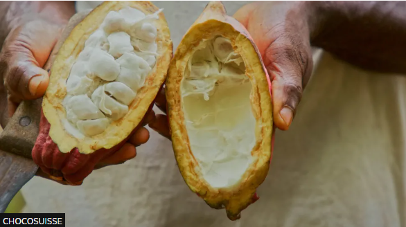 Mishra’s latest innovations helping Switzerland the land of chocolates