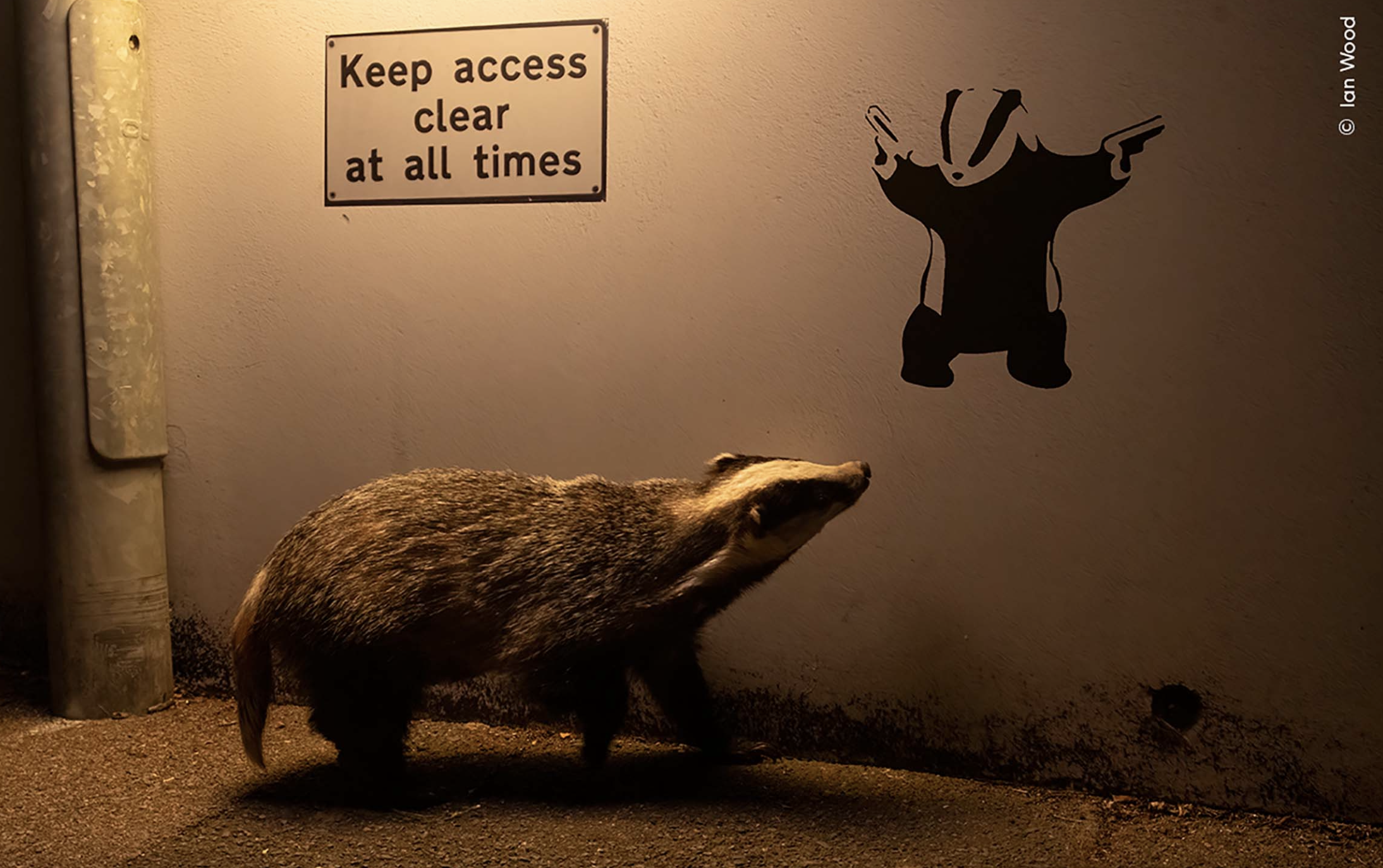 Wildlife Photographer of the Year 60 People’s Choice winner