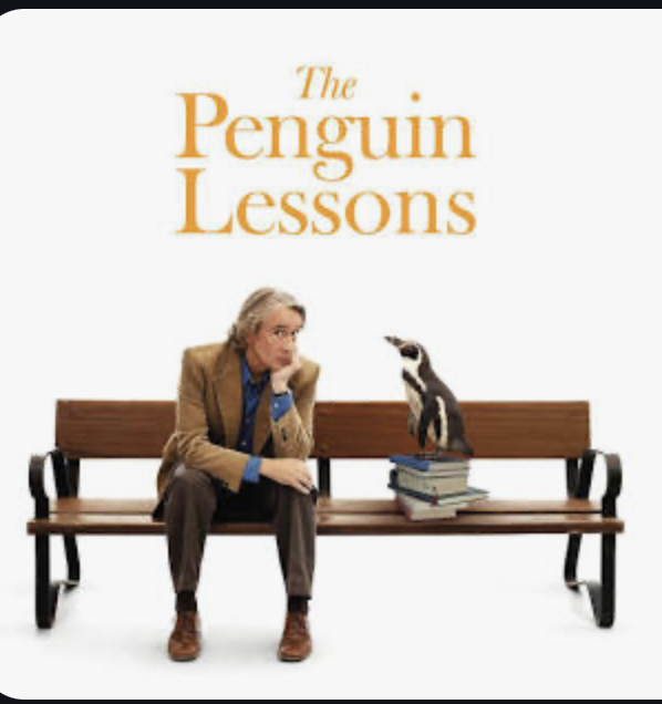 A penguin rescued from oil pollution