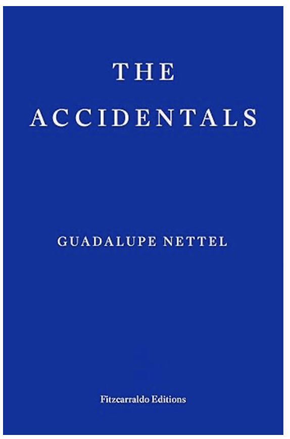 Albatross loses its bearings to turn into an unmoored wanderer