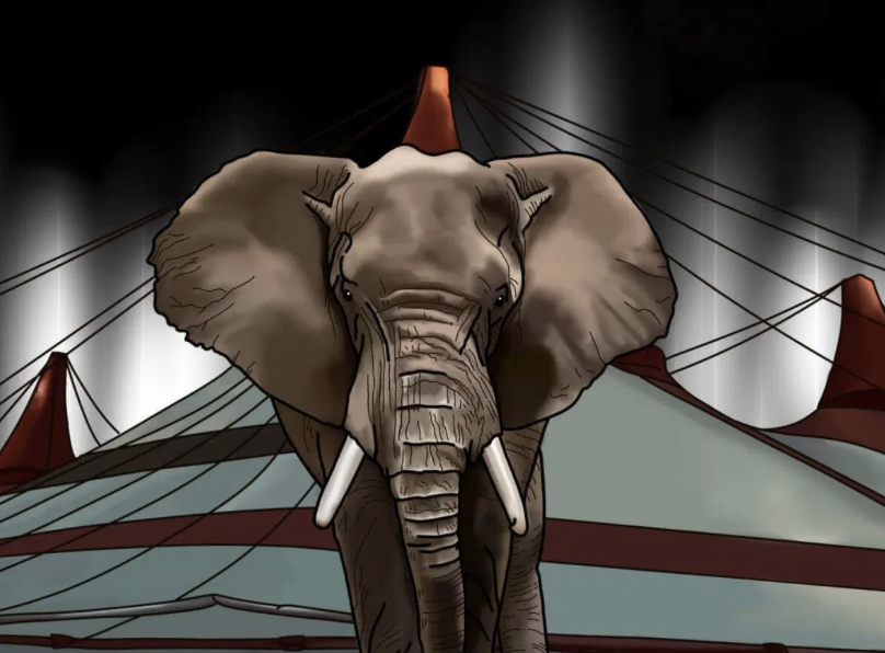 Ultimate hope for survival