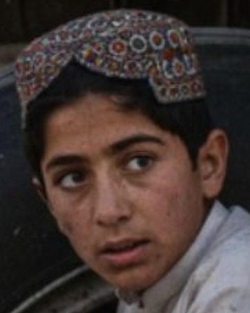 Desperate Stowaway survival