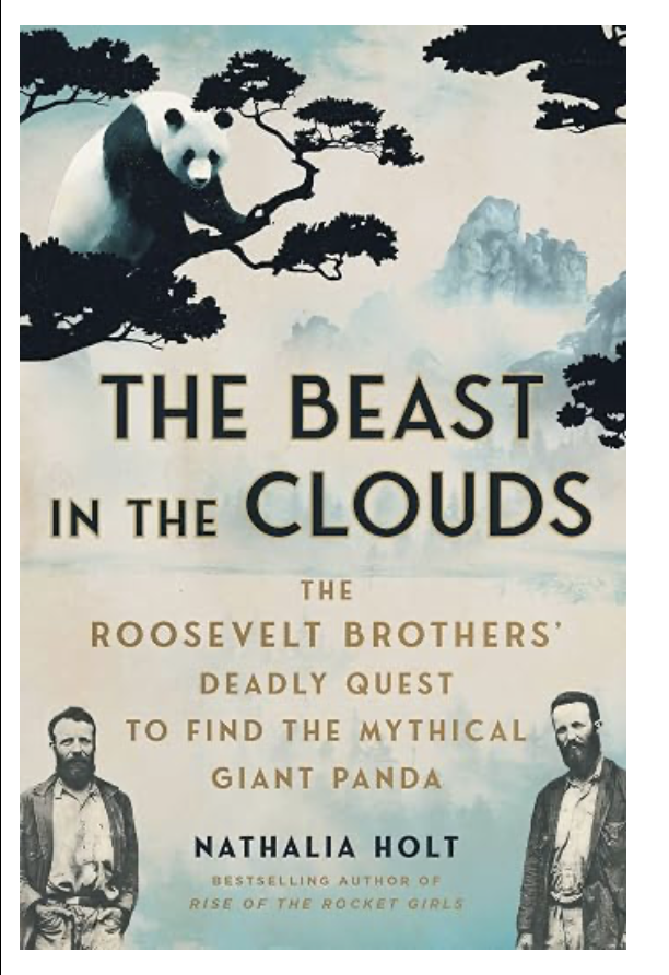 Quest to find panda…